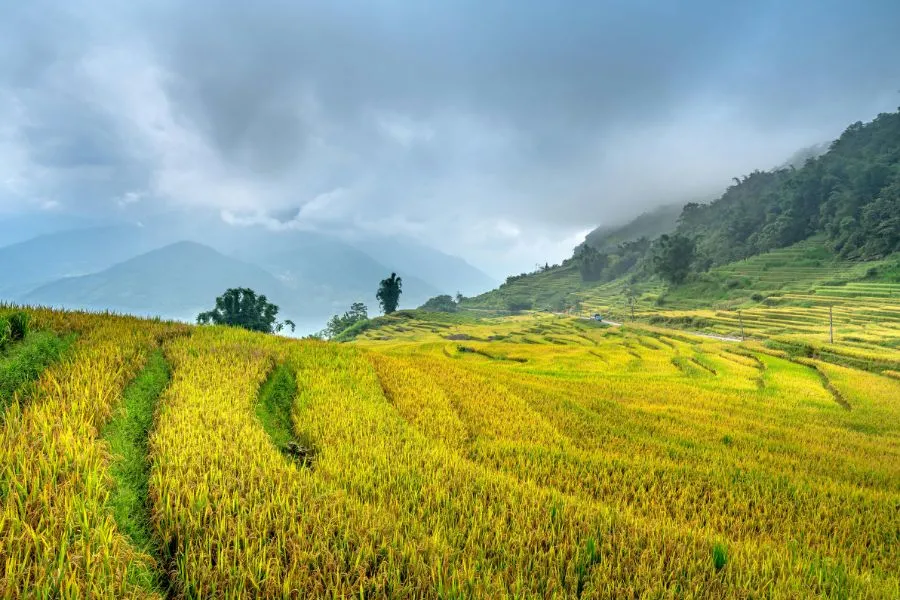 agricultural farm on cloudy day